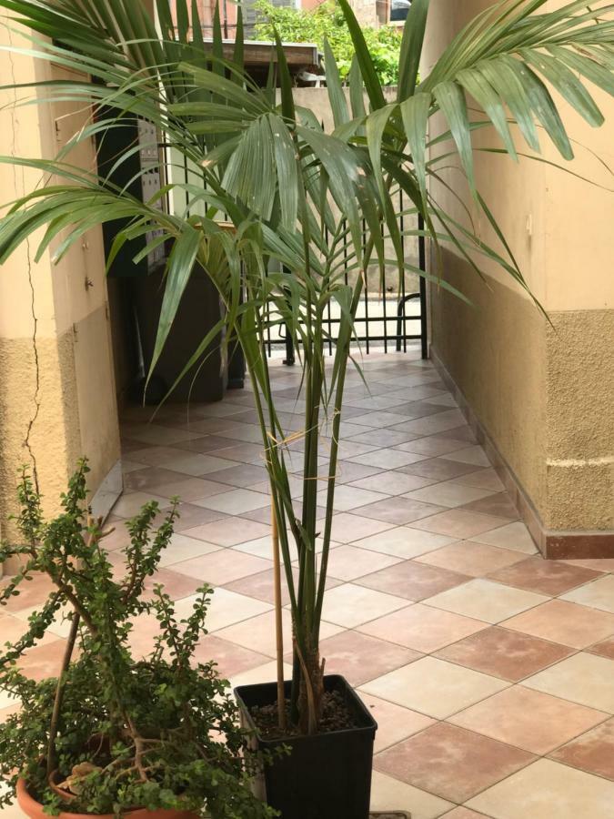 Garden Carras Apartamento Nice Exterior foto